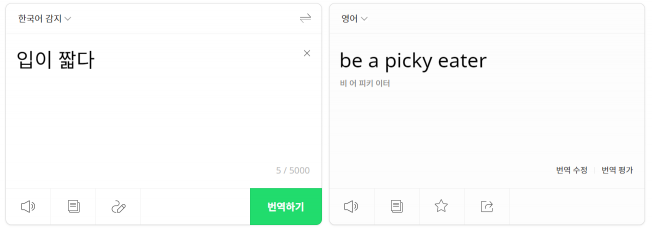 파파고 번역