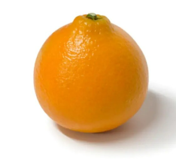 황금향