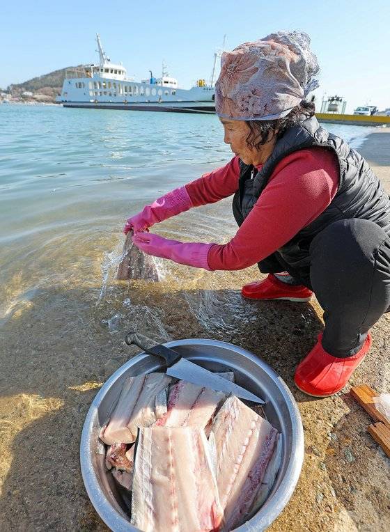 전남 완도군 보길면에서 횟집 사장이 바닷물로 생선을 씻고 있다. 프리랜서 장정필
