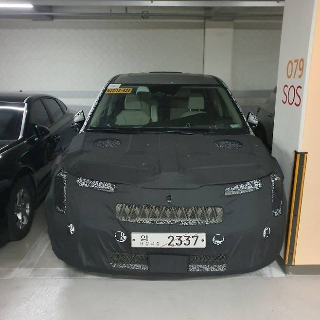 사진 : 기아 카니발 페이스리프트 (출처 : 카니발포에버 동호회)