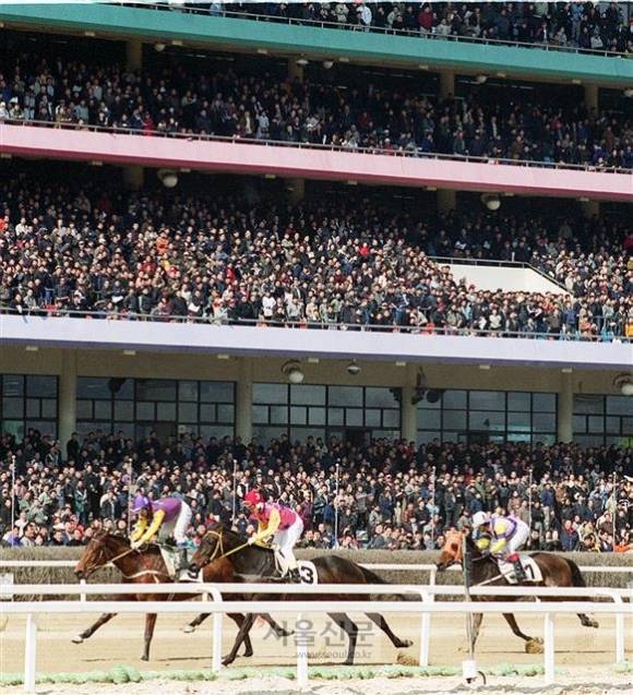 봄을 맞아 경기 과천 경마장이 경마를 보러온 인파들로 북적이고 있다. 서울신문 DB