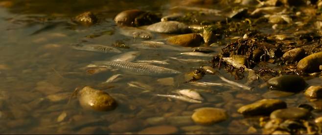 /사진=영화 '삼진그룹 영어토익반' 예고편 영상 갈무리