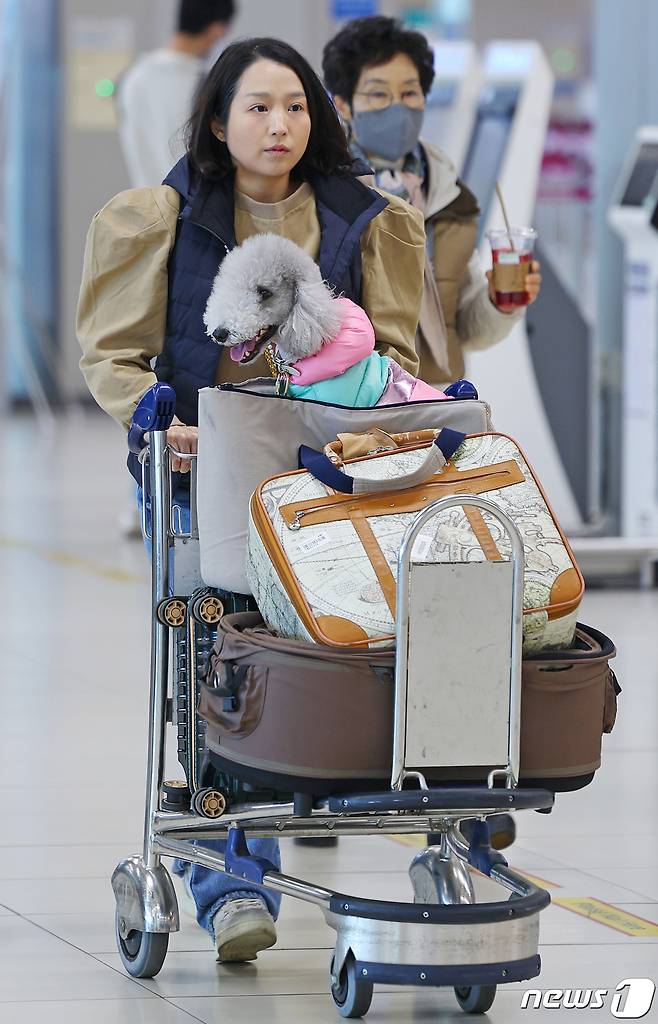 16일 오전 서울 김포공항 국내선 청사에서 한 탑승객이 반려견과 함께 ‘댕댕이 제주 전세기’ 탑승 수속을 위해 이동하고 있다. (공동취재) 2023.3.16/뉴스1 ⓒ News1 임세영 기자