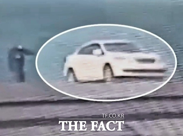 후진하는 흰색 차량을 향해 안내요원으로 보이는 사람이 손짓을 하며 황급히 다가섰지만 안타깝게도 바다에 추락했다. / KBS 방송 캡처