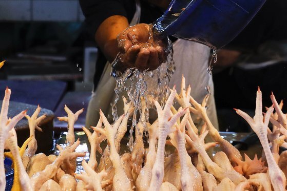 이집트에서 닭발을 먹으라는 정책 홍보가 역풍을 불러일으키고 있다. 사진은 말레이시아 시장의 모습. EPA=연합뉴스