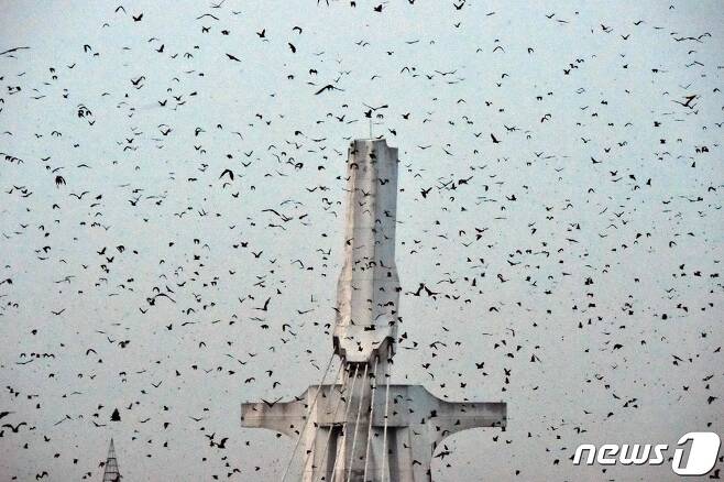 코트디부아르 아비장의 한 성당 위로 박쥐떼가 날아다니고 있다. 2021.01.06 ⓒ AFP=뉴스1 ⓒ News1 박재하 기자