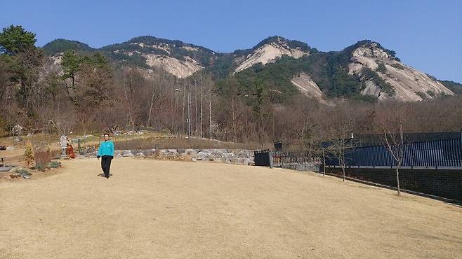 서울 노원구 중계동 ‘불암산 산림치유센터’ 정원에서 바라본 불암산. 박지현 산림치유지도사가 정원을 거닐고 있다. 김선식 기자