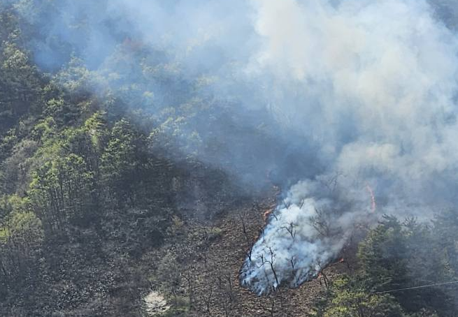 1일 오전 경남 산청군 지리산국립공원 일대에서 산불이 발생했다. / 사진=연합뉴스