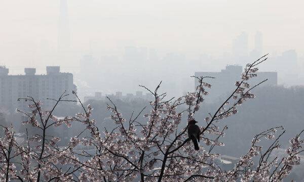 서울 시내가 뿌옇다. 연합뉴스