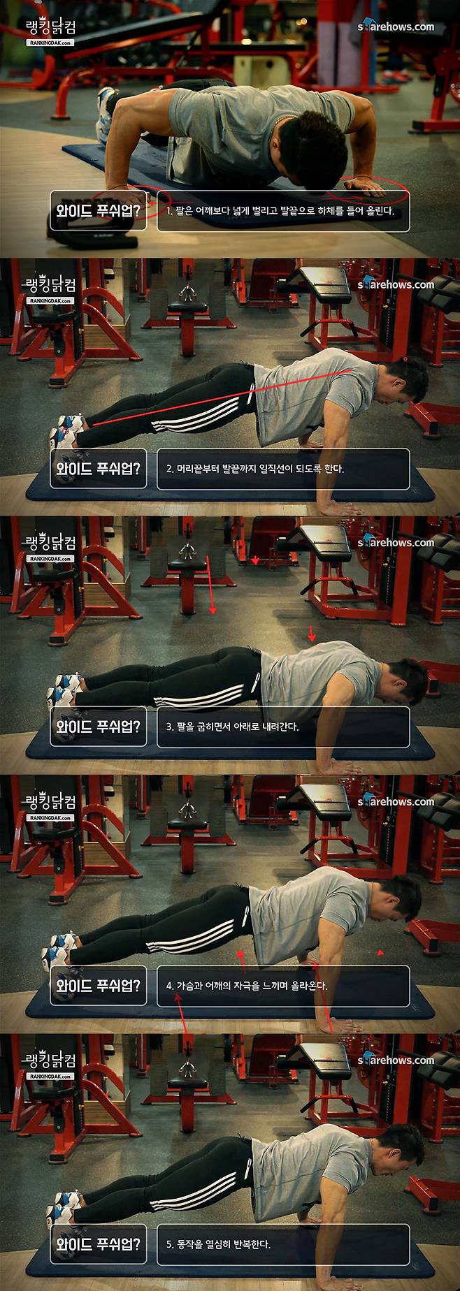 push-up-5-05
