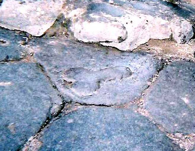 고대 로마 도시 폼페이 포석에 새겨진 남성 성기. 행운과 풍요를 가져온다고 여겨졌다. <사진 출처=위키피디아>