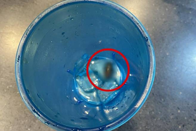 롯데리아의 음료에서 바퀴벌레가 나왔다. 롯데리아 리뷰 캡쳐.