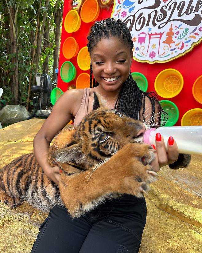 '인어공주' 할리 베일리가 태국 방콕 '사파리월드'에 방문한 모습. (인스타그램 갈무리)