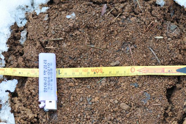 ▲ 2011년 3월 강원 동해시 백두대간 두타산~상월산 일대에서 표범으로 추정되는 발자국 모습.땅이 얼어있는 상태라 뚜렷하진 않지만 패드(발뒤꿈치) 부분이 최소 5㎝ 이상 되는 모습을 보이고 있다.사진제공=김흥우 사진작가