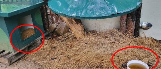 제보자 A씨가 올린 호텔 산책로에 위치한 강아지 집과 물통. 집 안에는 사료가 잔뜩 쏟아져 있고 물통엔 흙탕물이 차 있다. 사진 커뮤니티 캡처