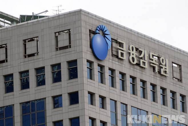 금융감독원. 쿠키뉴스 자료사진