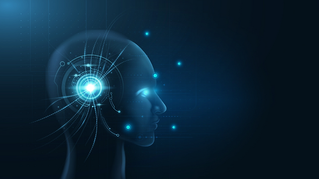 (사진, 망고보드)