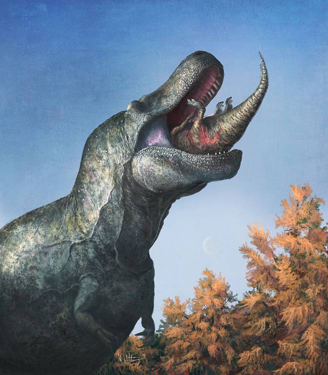 육식공룡 티라노사우루스가 작은 공룡을 통채로 삼키는 모습의 상상도. 비늘이 있는 입술이 이빨을 덮고 있다./Mark Witton