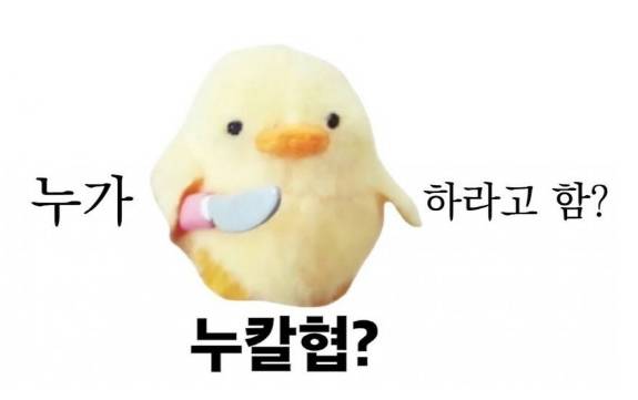 /사진=온라인 커뮤니티