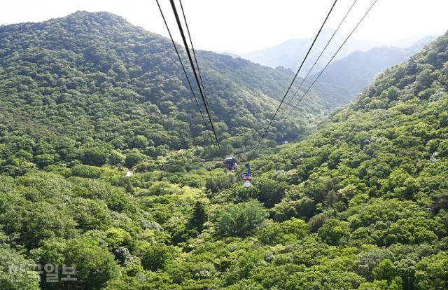 국립공원 안에 최초로 개설된 내장산 케이블카.