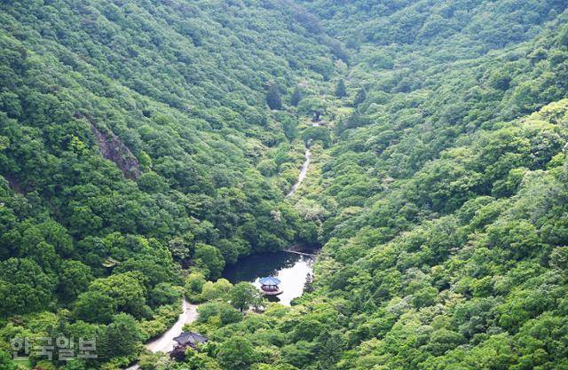 내장산 전망대에서 내려다보는 우화정과 주변 산자락에 녹음이 가득하다.