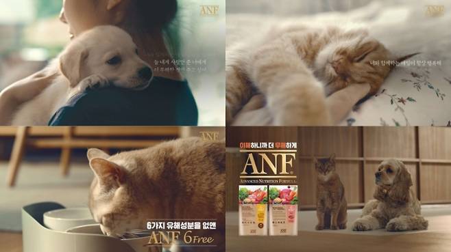 ANF 6Free 신규 광고 캠페인/사진제공= 우리와㈜)