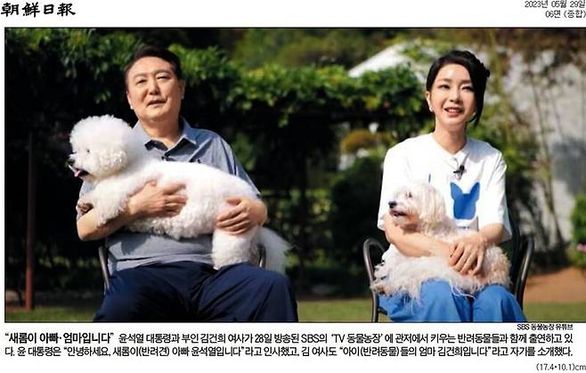 ▲ 29일 조선일보 사진기사
