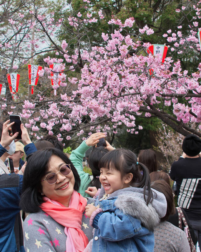 지난 3월 21일 도쿄의 우에노 공원에서 한 모녀가 벚꽃을 감상하며 활짝 웃고 있다. [UPI연합뉴스]
