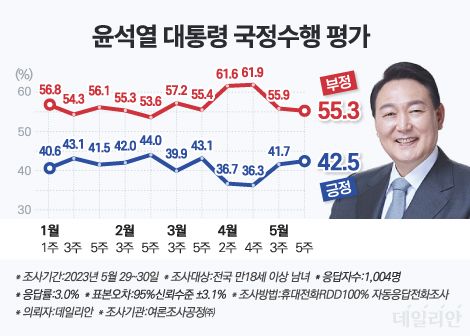 윤석열 대통령의 국정 수행에 대한 긍정 평가는 42.5%, 부정 평가는 55.3%로 각각 집계됐다. ⓒ데일리안 박진희 그래픽디자이너