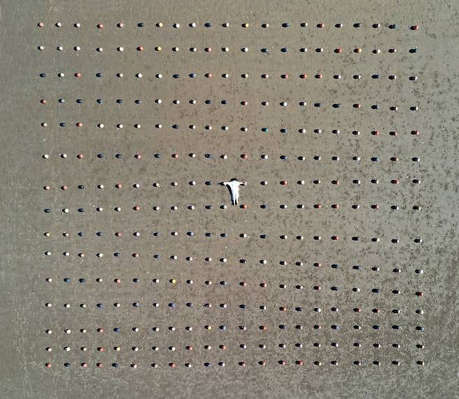 2019년 지나 손 은 부표 오브제 수백개를 해변에 기하학모양으로 설치 후 파도에 의해 해체되는 모습을 지켜보는 프로젝트를 진행했다. 이렇듯 자연의 맥동에 의해 해체되거나 변이되는 과정에서 표현되는 것 또한 지나 손에게는 대지미술인 게다.