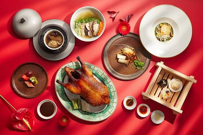 서울드래곤시티 'FEI 페이'의 '보양식보’ *재판매 및 DB 금지