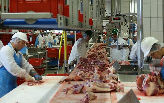 도축장에서 일하고 있는 노동자들의 모습. 이얼 프레스는 사람들이 비윤리적이고 불결하지만 ‘누군가 해야 한다’ 여기는 ‘더티 워크’의 불평등한 구조를 파헤친다. 출처 이미지투데이(기사 및 보도와 연관 없음), 한겨레출판 제공