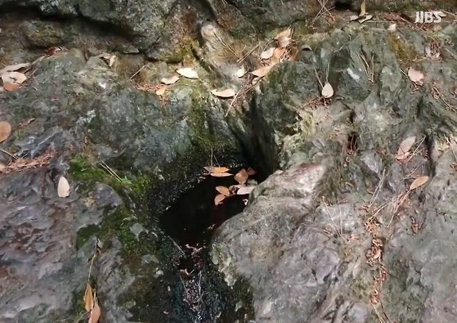 장수물(횃부리물)