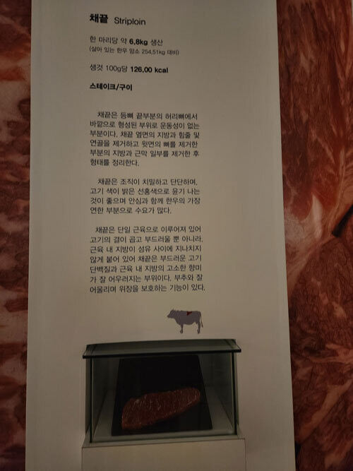 전시실에 있는 부위별 한우 고기 설명과 고기 모형.