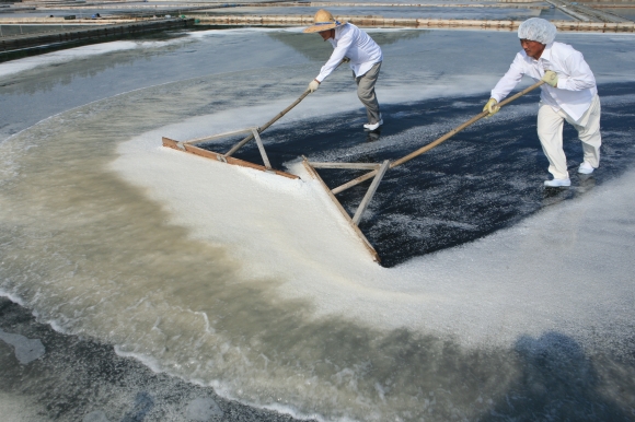 염부들이 신안 도초신일염전에서 소금을 생산하고 있다. 신안군 제공