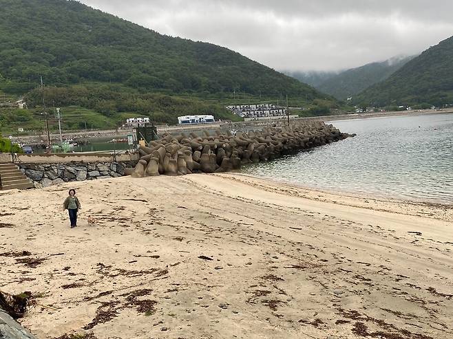대안학교를 중심으로 사람들이 모여들었다. 남해 상주 풍경. 김소민 제공