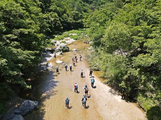 홍천 수타사계곡은 깊은 산속에 숨은 계곡이지만, 물이 깊지 않아 물길 트레킹에 좋다. 첨벙첨벙 계곡을 걷는 재미가 크다.