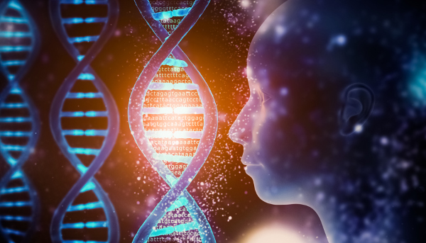 생물체 DNA가 지닌 유전 정보의 복잡성은 결코 우연으로 설명할 수 없다. 즉 무신론보다는 유신론의 관점이 타당하다는 것이다. 사진은 정교하게 설계된 인간의 DNA를 형상화한 이미지. 게티이미지뱅크