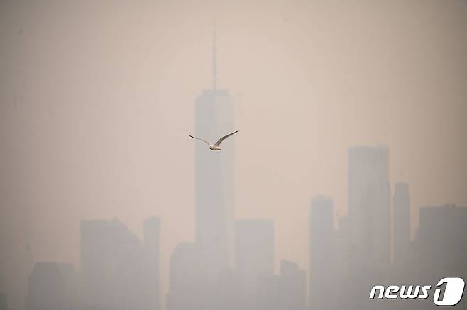6일 (현지시간) 캐나다에서 발생한 산불의 영향으로 연기로 덮여 뿌옇게 변한미국 뉴욕 맨해튼의 빌딩 사이로 갈매기가 날고 있다. 2023.6.8 ⓒ AFP=뉴스1 ⓒ News1 우동명 기자