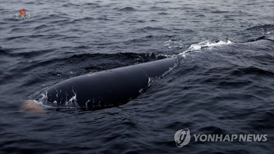 북한이 지난 4월 4∼7일 수중전략무기체계 폭파시험에 성공했다며 공개한 이른바 수중핵어뢰인 핵무인수중공격정 해일-2. 조선중앙TV 캡처