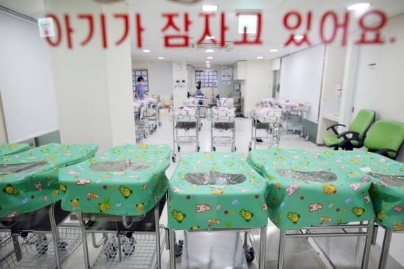 서울의 한 대학병원 신생아실. 연합뉴스
