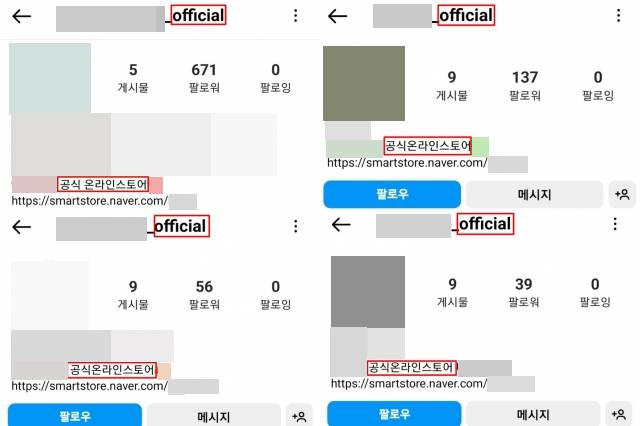 사기범들이 운영하는 인스타그램 계정 유형. 인스타그램 캡처