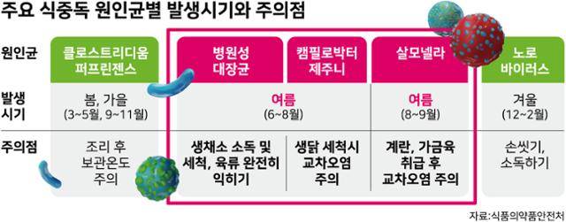 주요 식중독 원인균별 발생시기와 주의점. 그래픽=강준구 기자