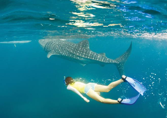 사진제공 : 에이뷰코리아