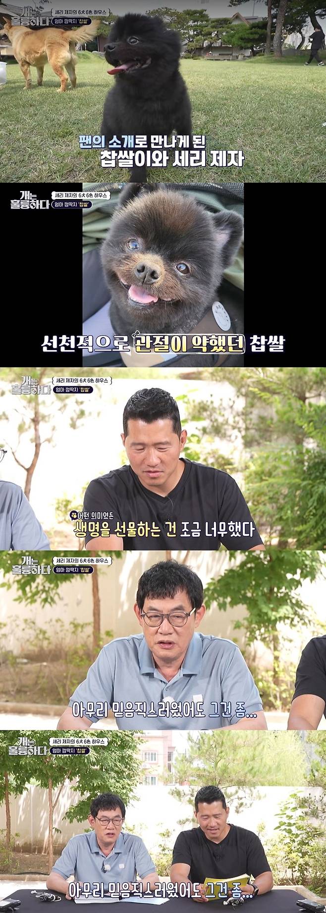 Kang Hyung-wook, Lee Kyung-kyu talked about uncomfortable truth.KBS 2TV Dogs Are Incredible broadcast on June 26 was featured in Pak Se-ri.On this day, the daily life of Pak Se-ri, with six pets and two cats, got on the air.Pak Se-ri introduced her mothers chewing gum sticky rice and said, A fan bought it and brought it to my family. I had surgery because my legs were not good from the beginning. I cant use my left leg, so I carry more.Kang Hyung-wook responded, Gifting life was a little too much.Lee Kyung-kyu also added, No matter how much you believe Pak Se-ri will grow up, it is an inconvenient truth.