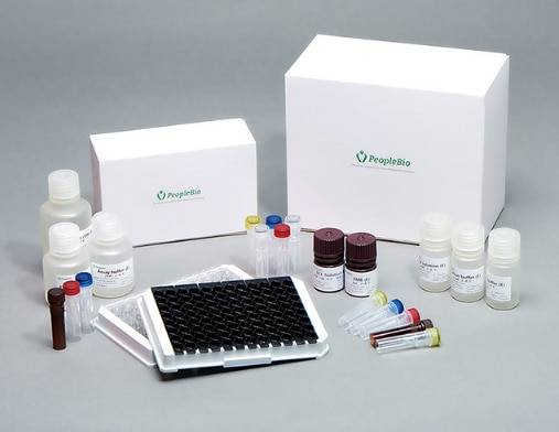 피플바이오 치매 조기 진단키트. /사진=피플바이오