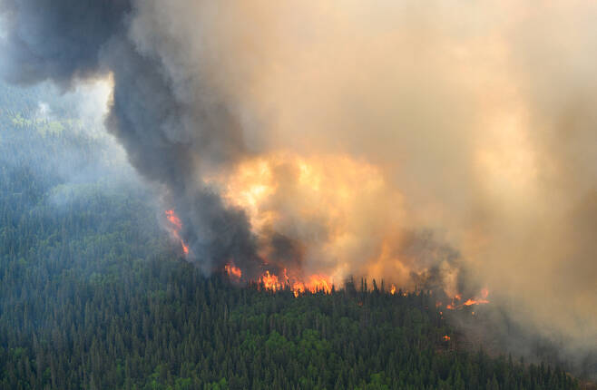 캐나다 퀘벡주에서 산불이 불타오르고 있다. 로이터연합뉴스