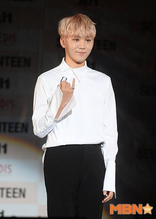 세븐틴 승관이 컨디션 난조로 향후 활동에 불참한다. 사진=DB