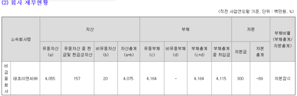 태초이앤씨 간략 재무현황(자료=대규모기업집단 현황 공시)