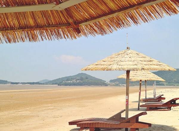 신안 짱뚱어해수욕장 / 온라인 커뮤니티